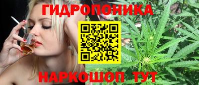 ALPHA-PVP Дубна